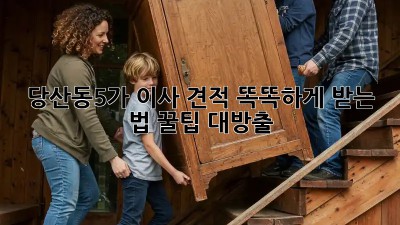 당산동5가 이사 견적, 똑똑하게 받는 법 꿀팁 대방출 🍯