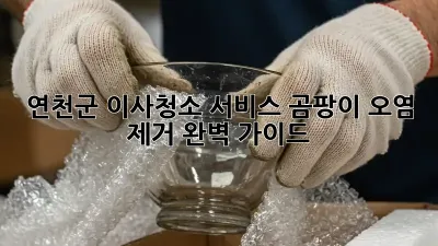 연천군 이사청소 서비스: 곰팡이, 오염 제거 완벽 가이드